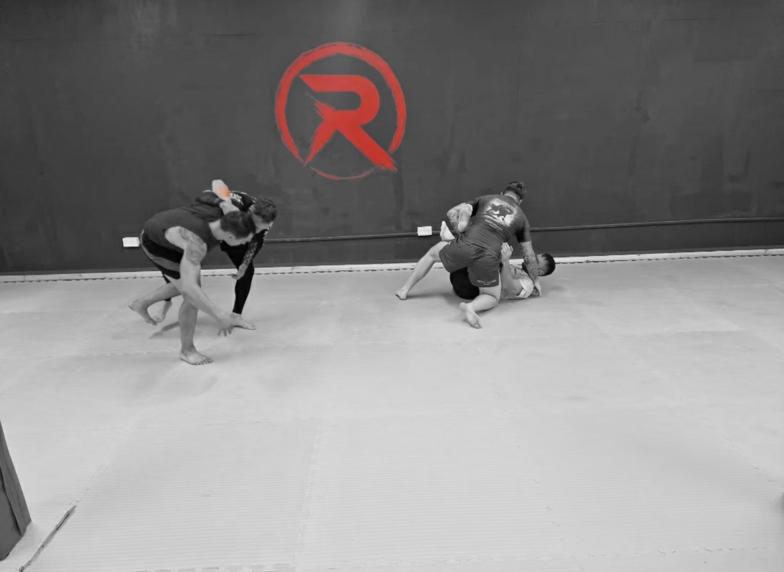 Revolution Institute of Grappling training